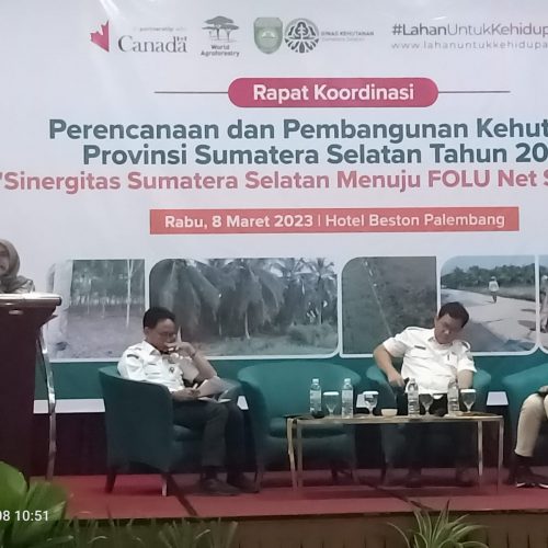 Sinergitas Sumatera Selatan menuju Indonesia’s Folu Net Sink 2030